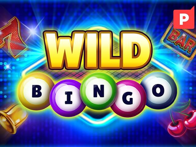 bbr4bet Bingo Selvagem